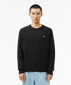 Lacoste Sweaters & Sweatshirts-Mens Wool Crew Neck Sweater-AH2916-51-lacoste store near me