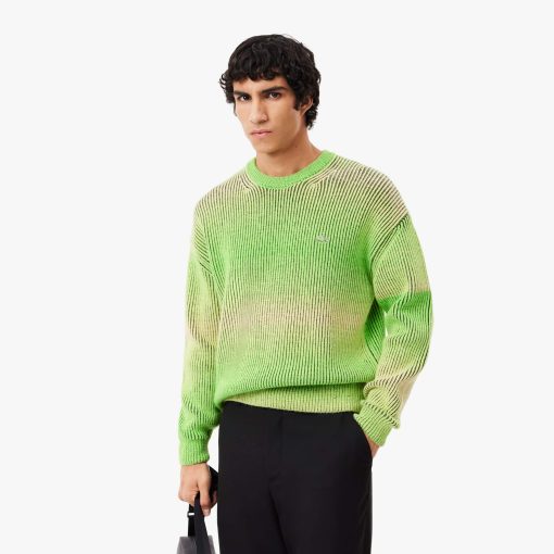 Lacoste Sweaters & Sweatshirts-Mens Relaxed Fit Ombré Crew Neck Sweater-AH4016-51-la coste