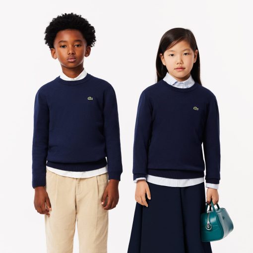 Lacoste Sweaters & Sweatshirts-Kids Cotton and Merino Wool Blend Sweater-AJ1121-51-lacost