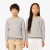 Lacoste Sweaters & Sweatshirts-Kids Cotton and Merino Wool Blend Sweater-AJ1121-51-lacost 3