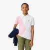 Lacoste T-Kids Crocodile Graphic Cotton T-Shirt-TJ2578-51-lacoste outlet 4