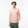 Lacoste T-Mens Cotton Jersey Signature T-Shirt-TH4149-51-lacoste outlet 3