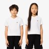 Lacoste T-Kids V-Neck Cotton T-Shirt-TJ8069-51-lacoste factory outlet 3